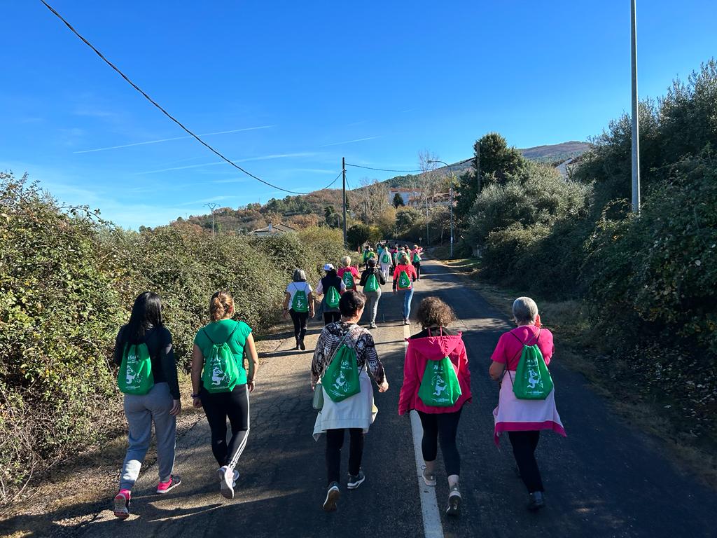VII Marcha Saludable